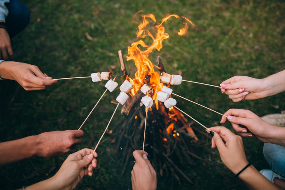 Bonfire with several people holding marshmallows on sticks over it.