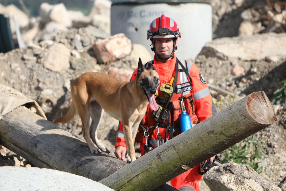Search and Rescue Dog Cara with handler mick on a collapsed structure site