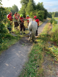 Horse on canal towpath standing next to fire crews