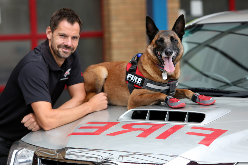 Handler Mat Dixon pictured with Kai on bonnet of the fire investigation vehicle